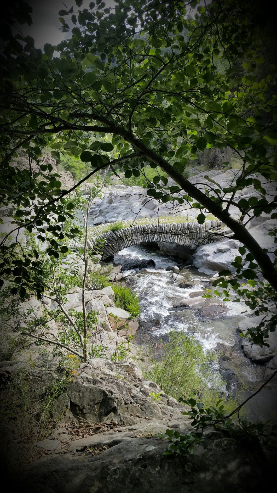 Le moulin de Roure
