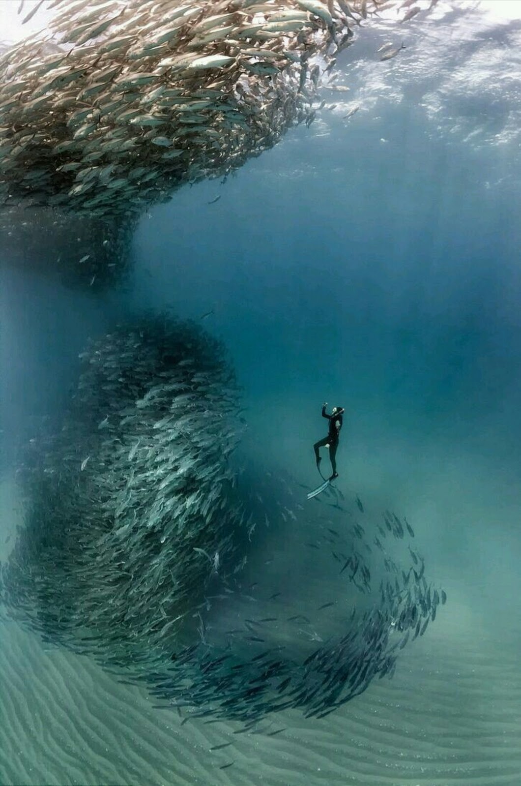 Turbo-poissons