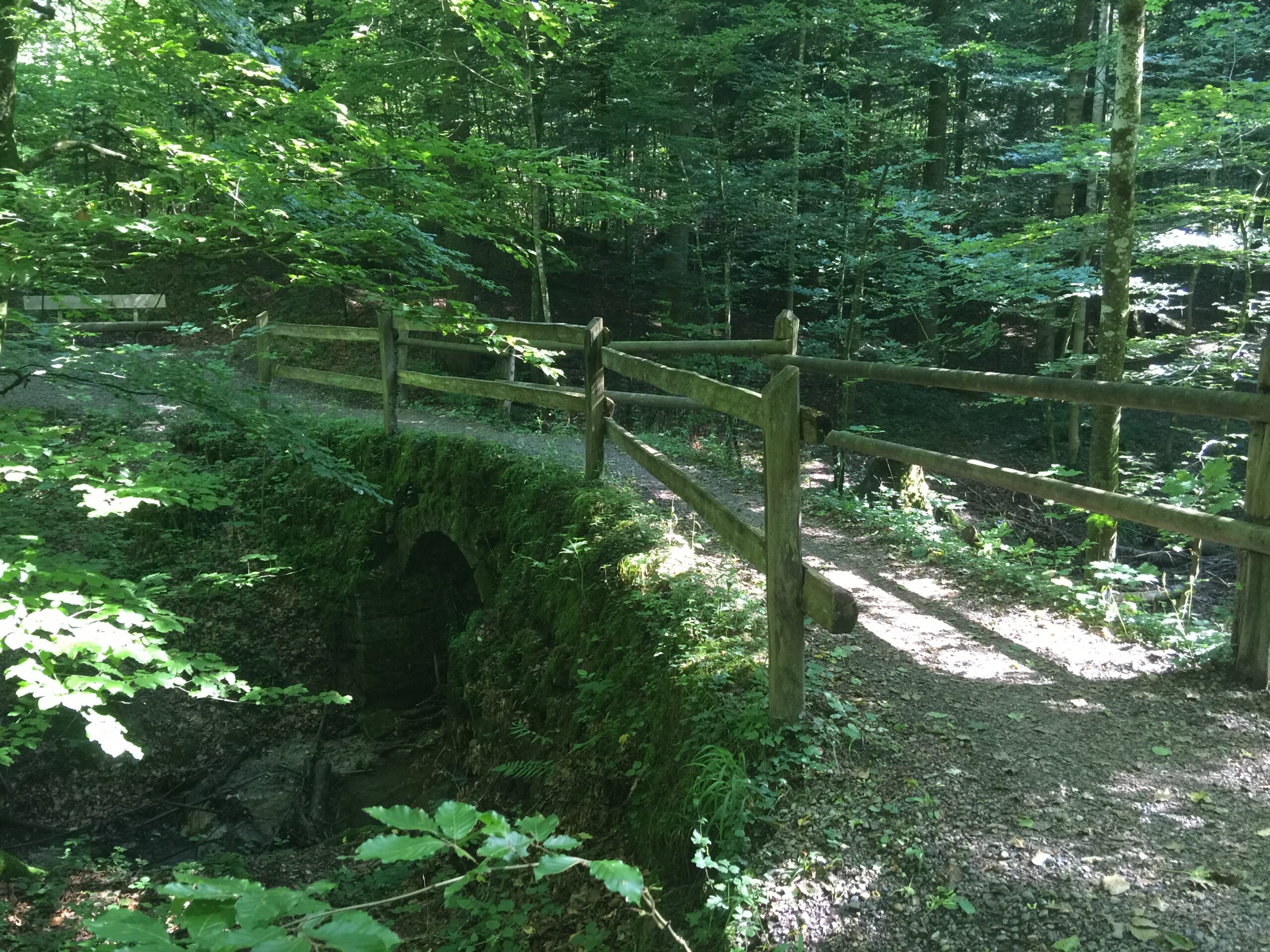 Le petit pont vert