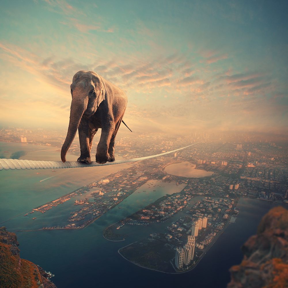 Comme un éléphant dans un jeu de quilles