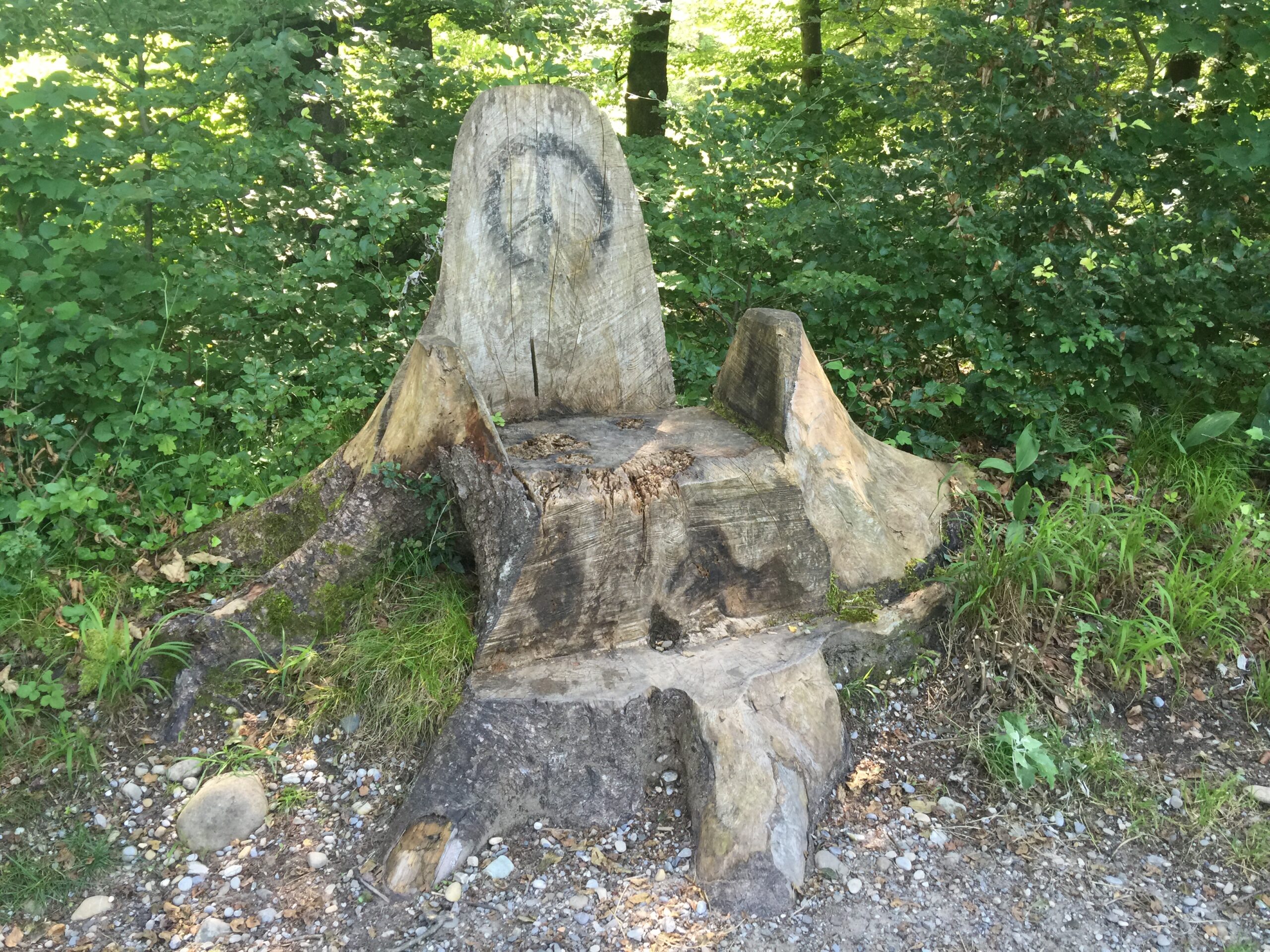 Le trône de la forêt