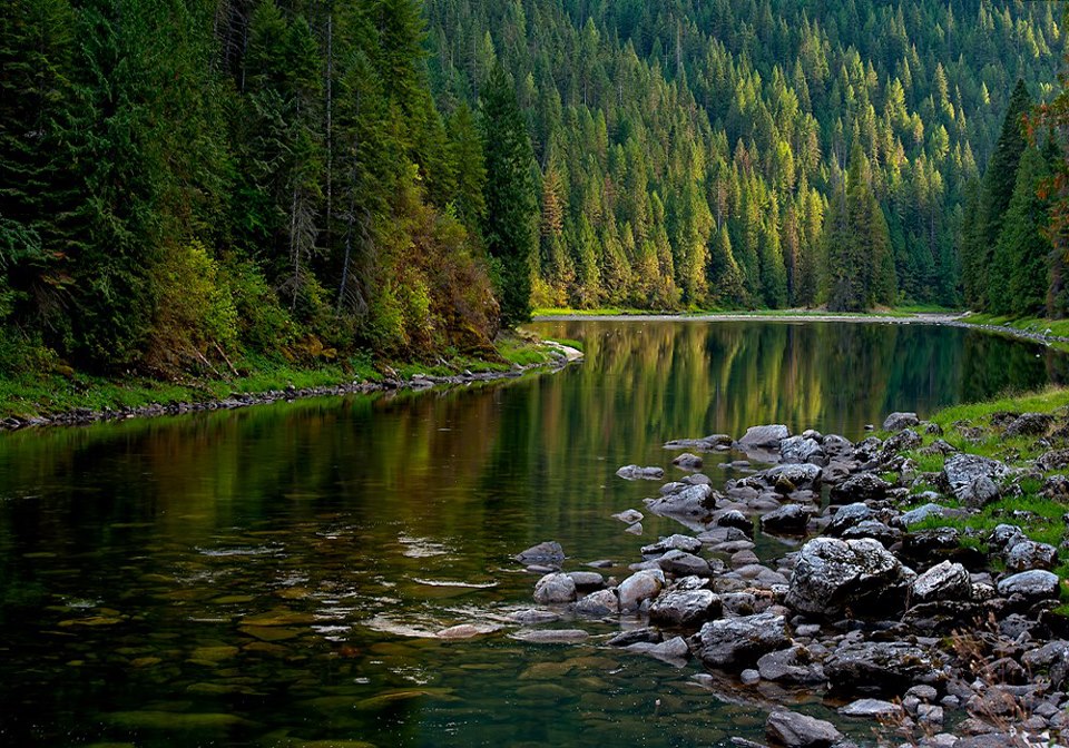 Toute la nature