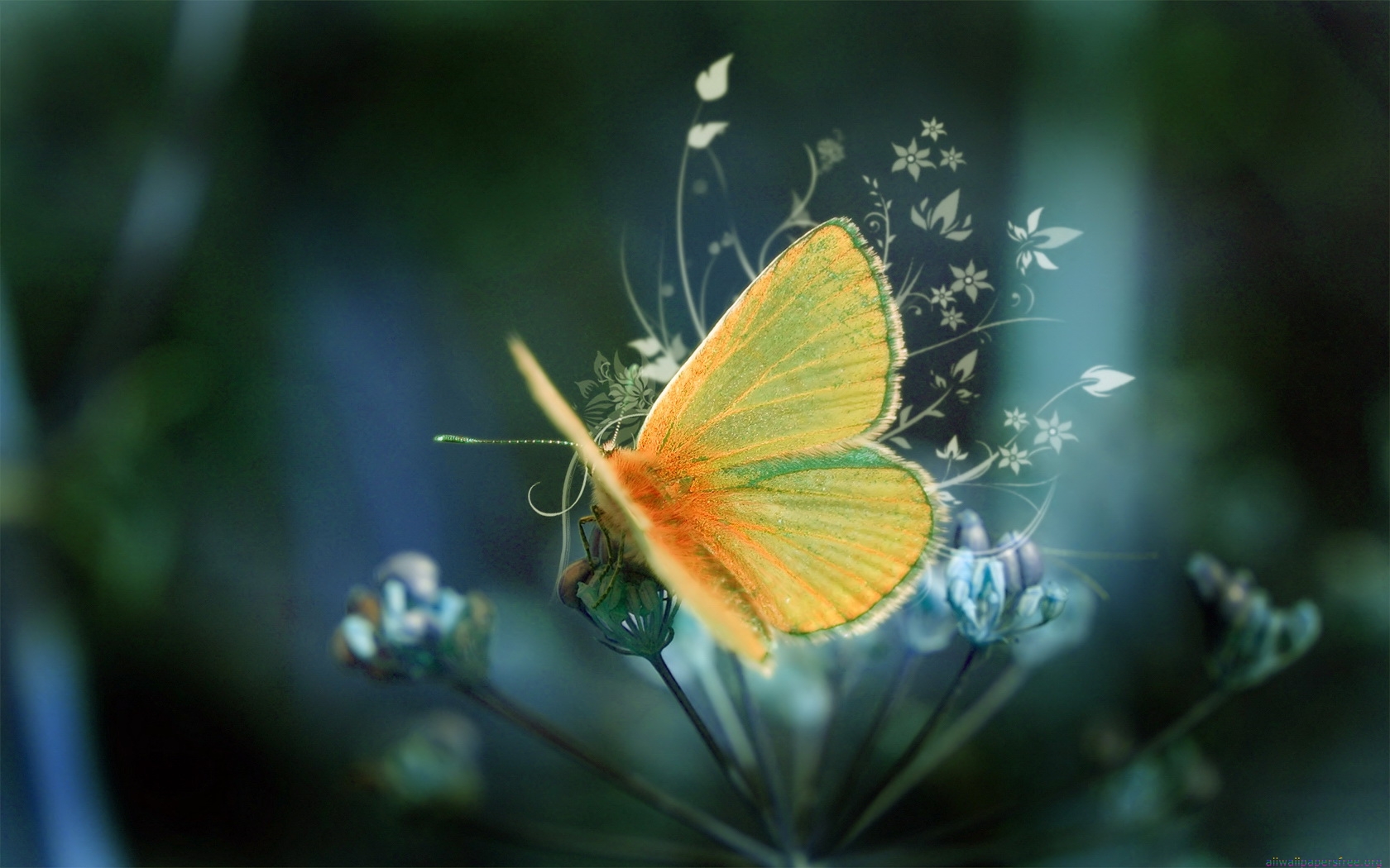 L’effet papillon