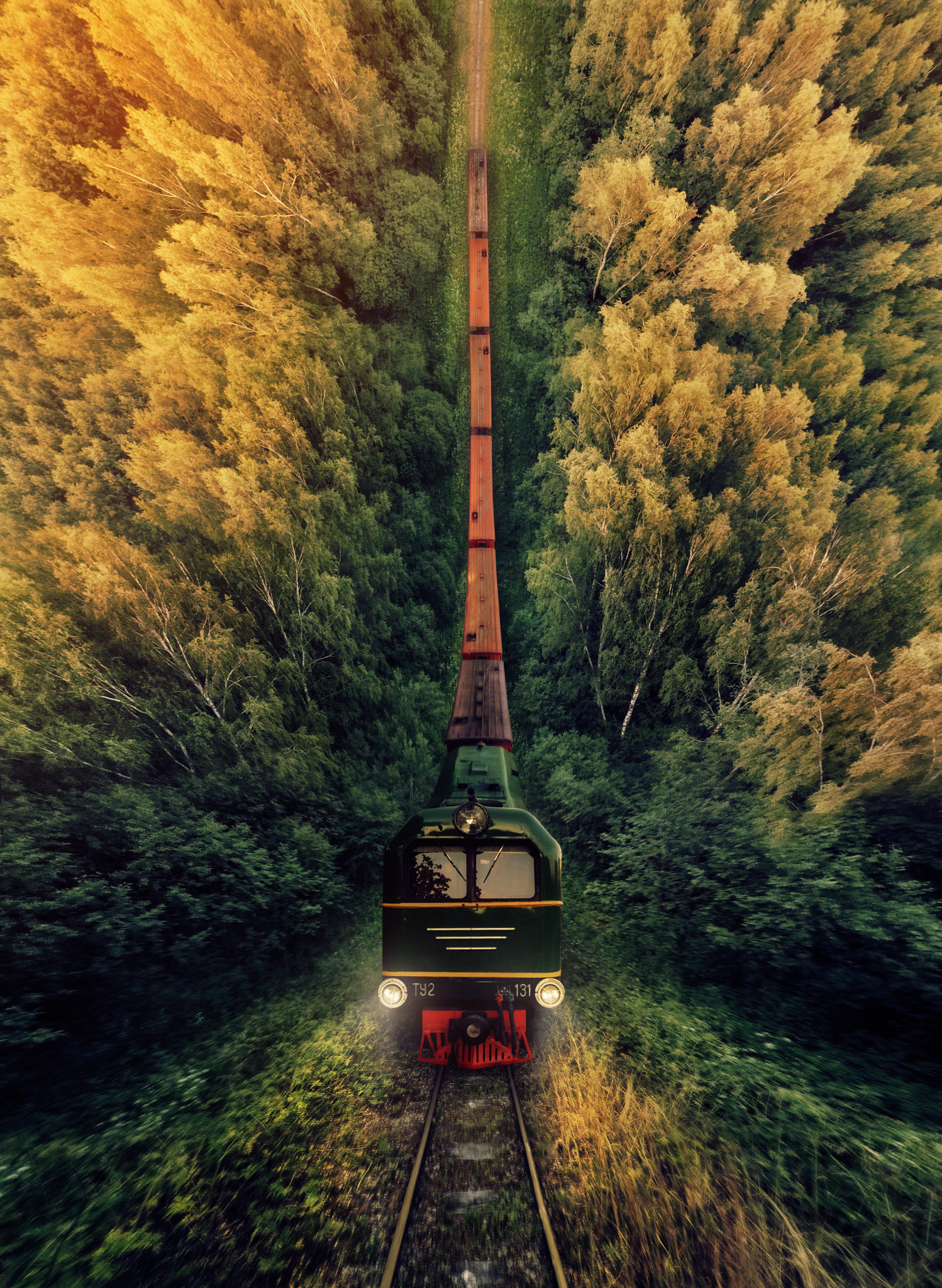 Le train de la vie