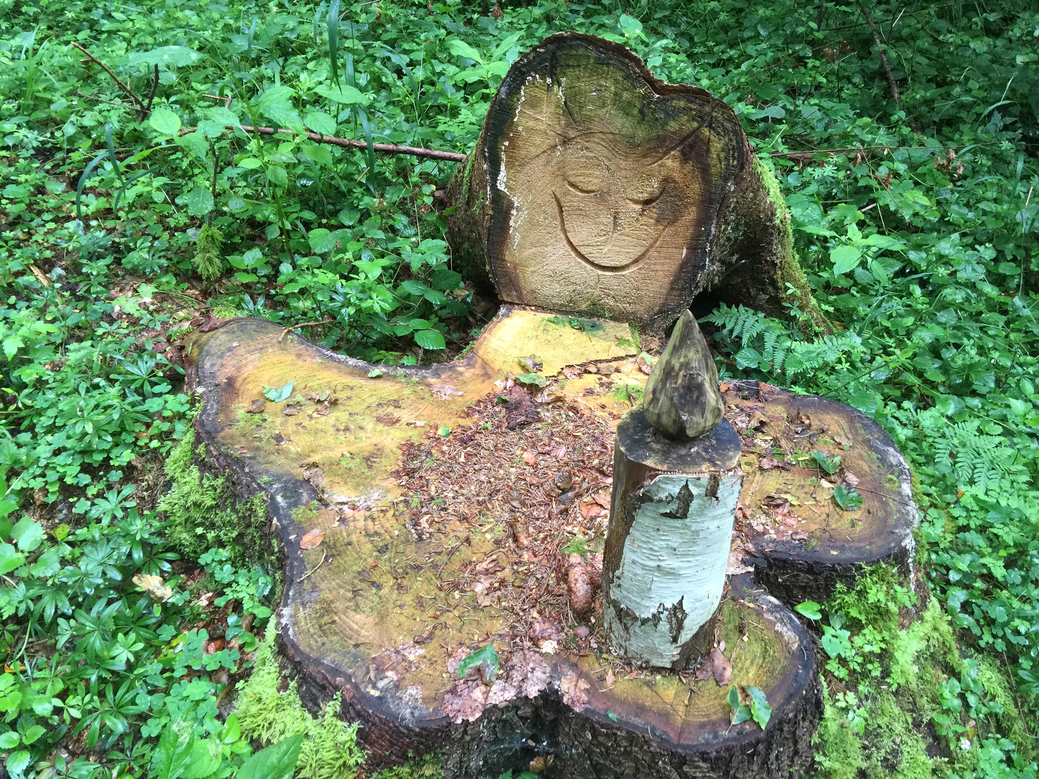 Mon beau gâteau des rois des forêts