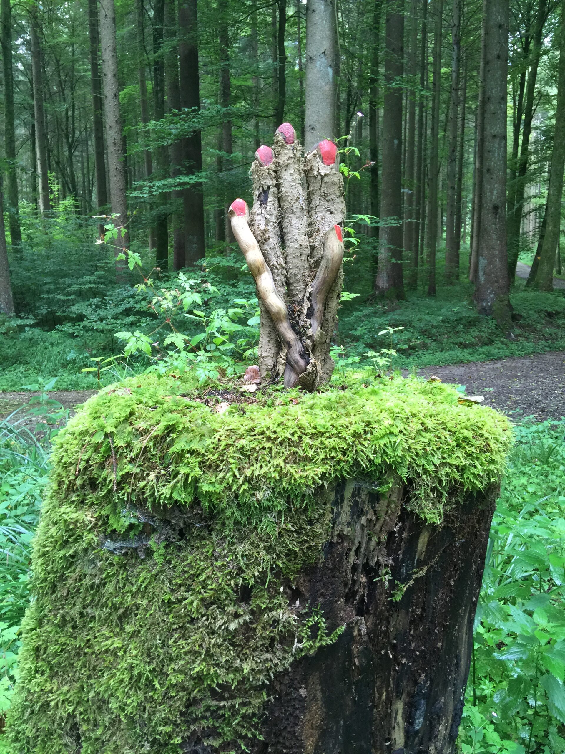 Le sceptre des hauts-bois