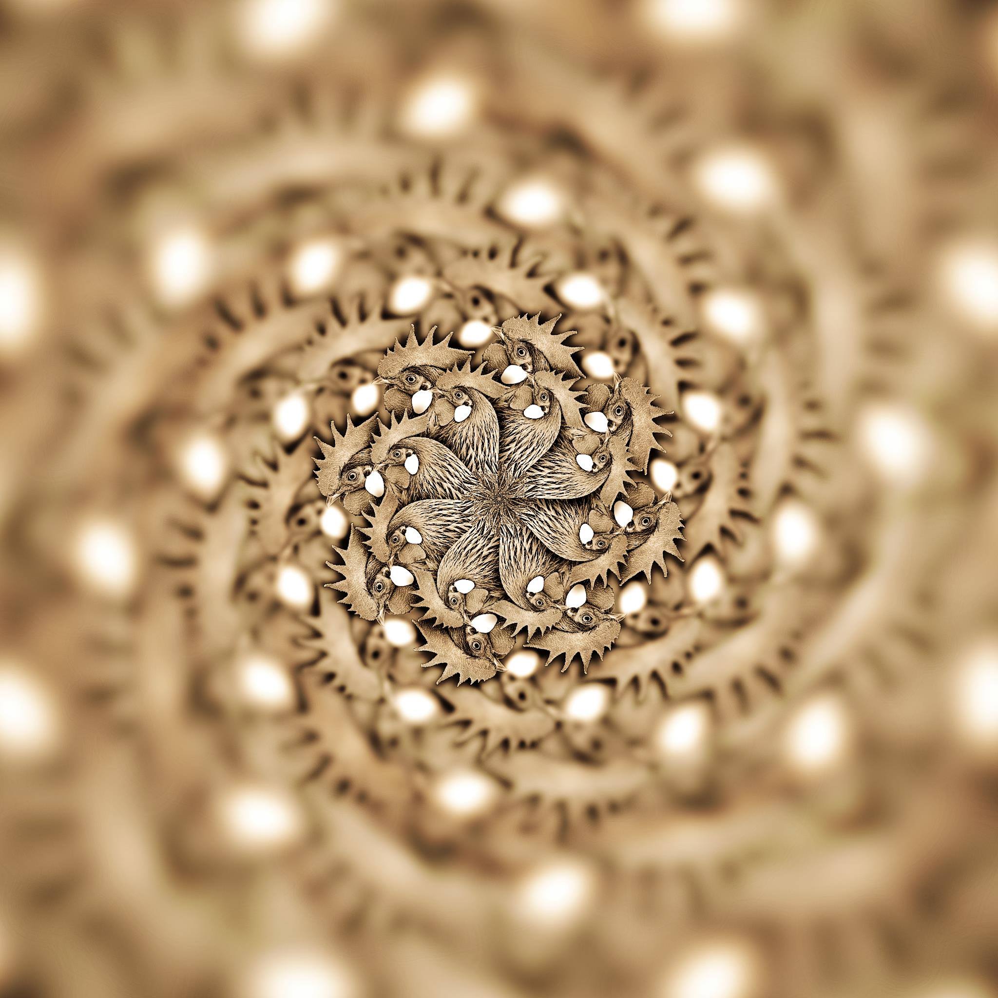 Cocorico
