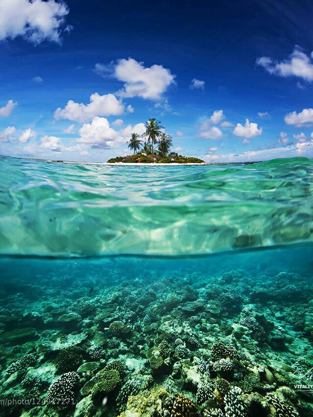Le paradis incontesté