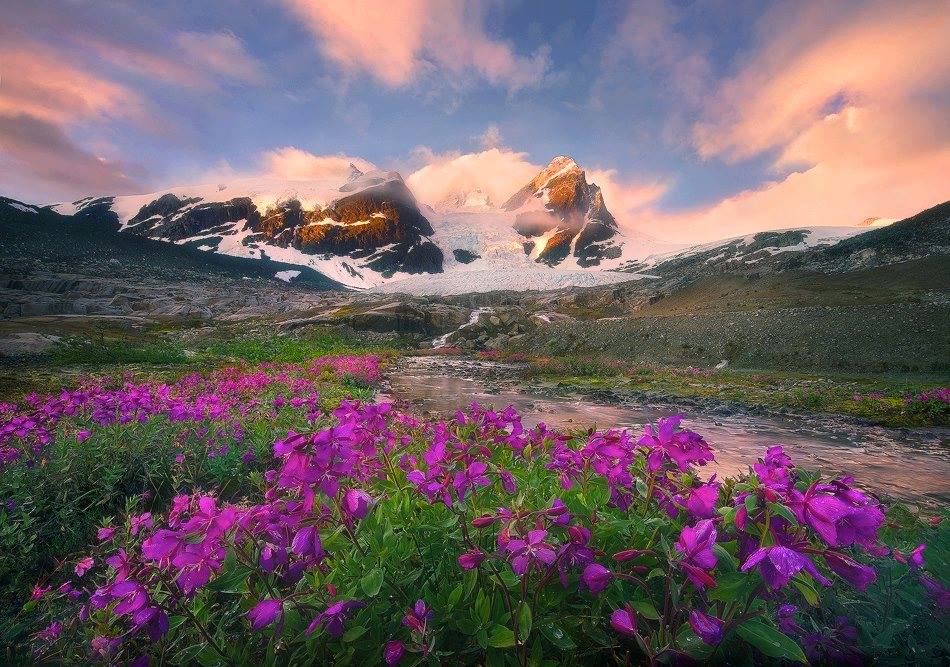 Le cadeau de la nature