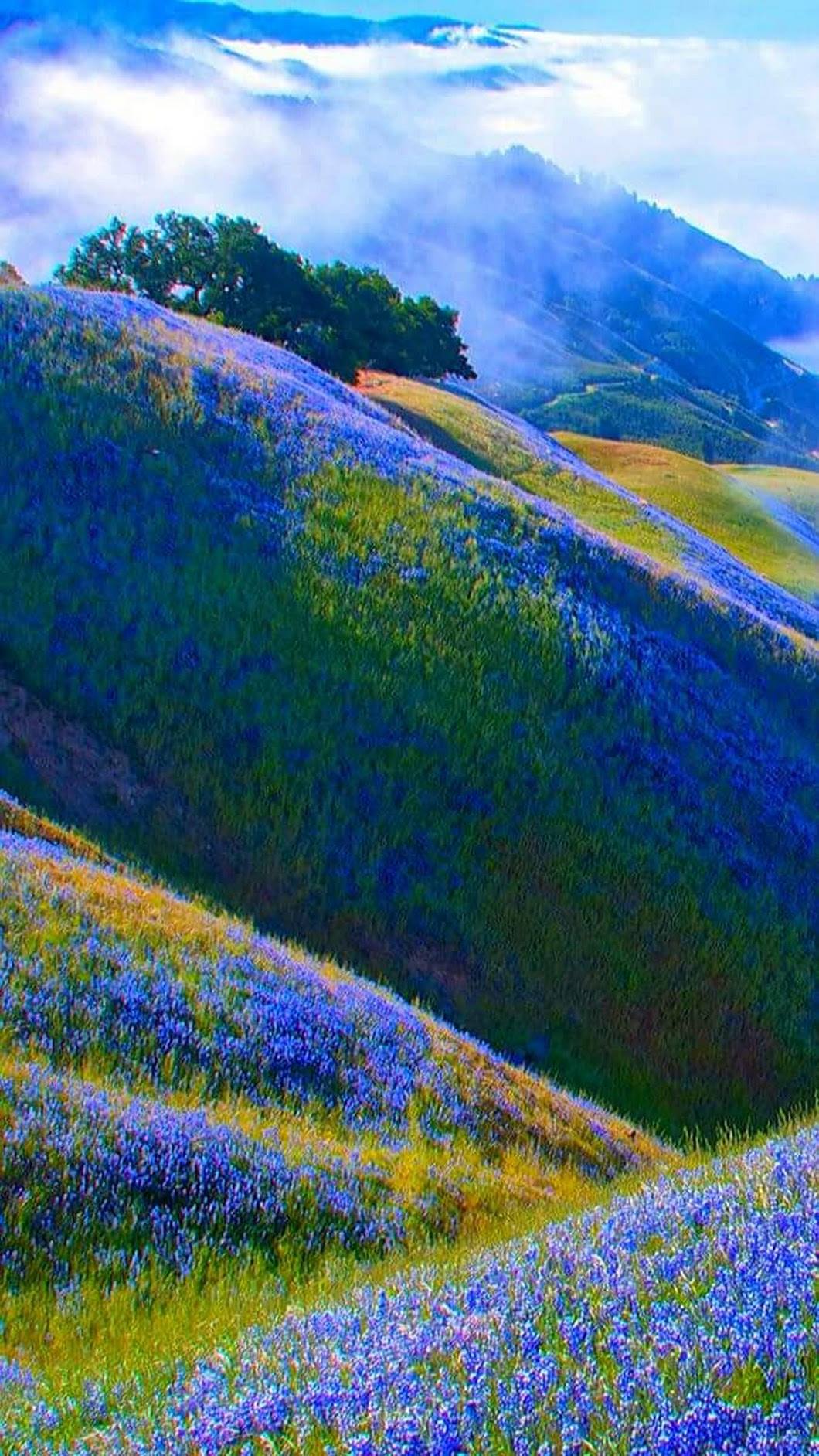 Sérénade in blues