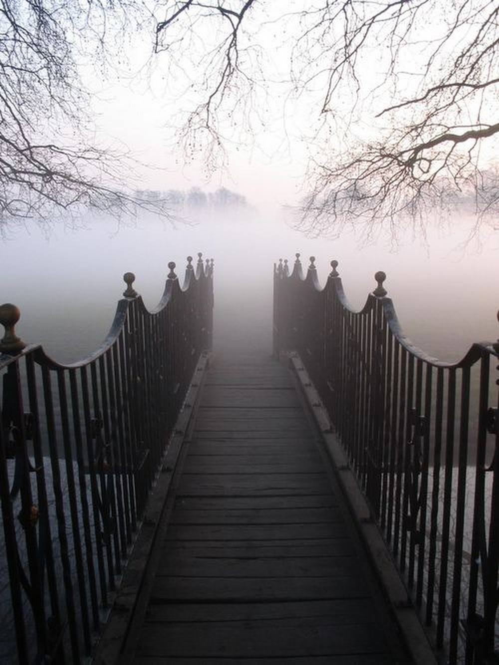 L’aventure est au bout du pont