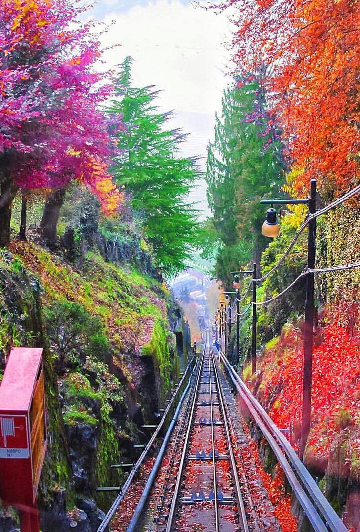 Un toboggan de couleurs
