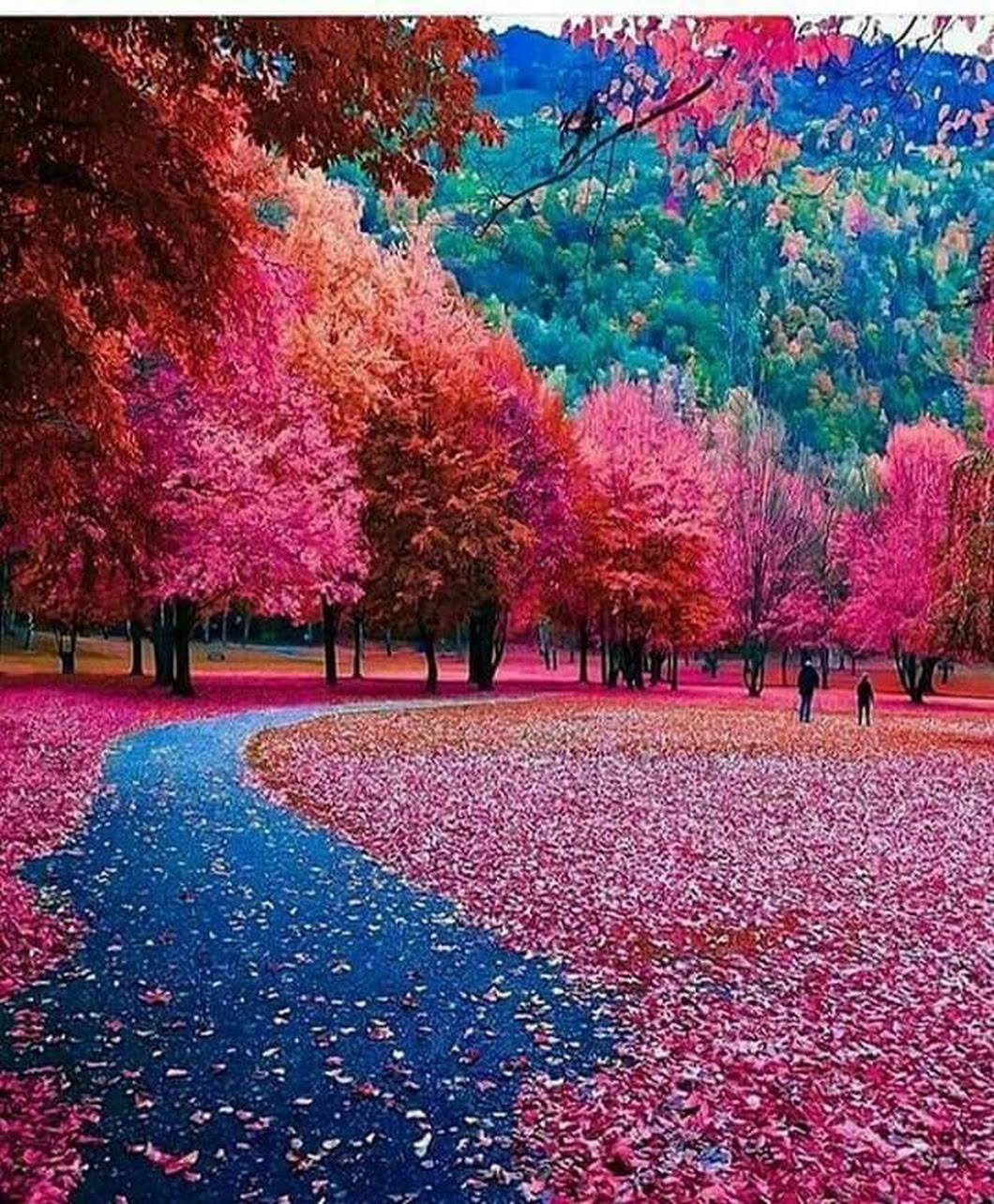 La Suisse en rose