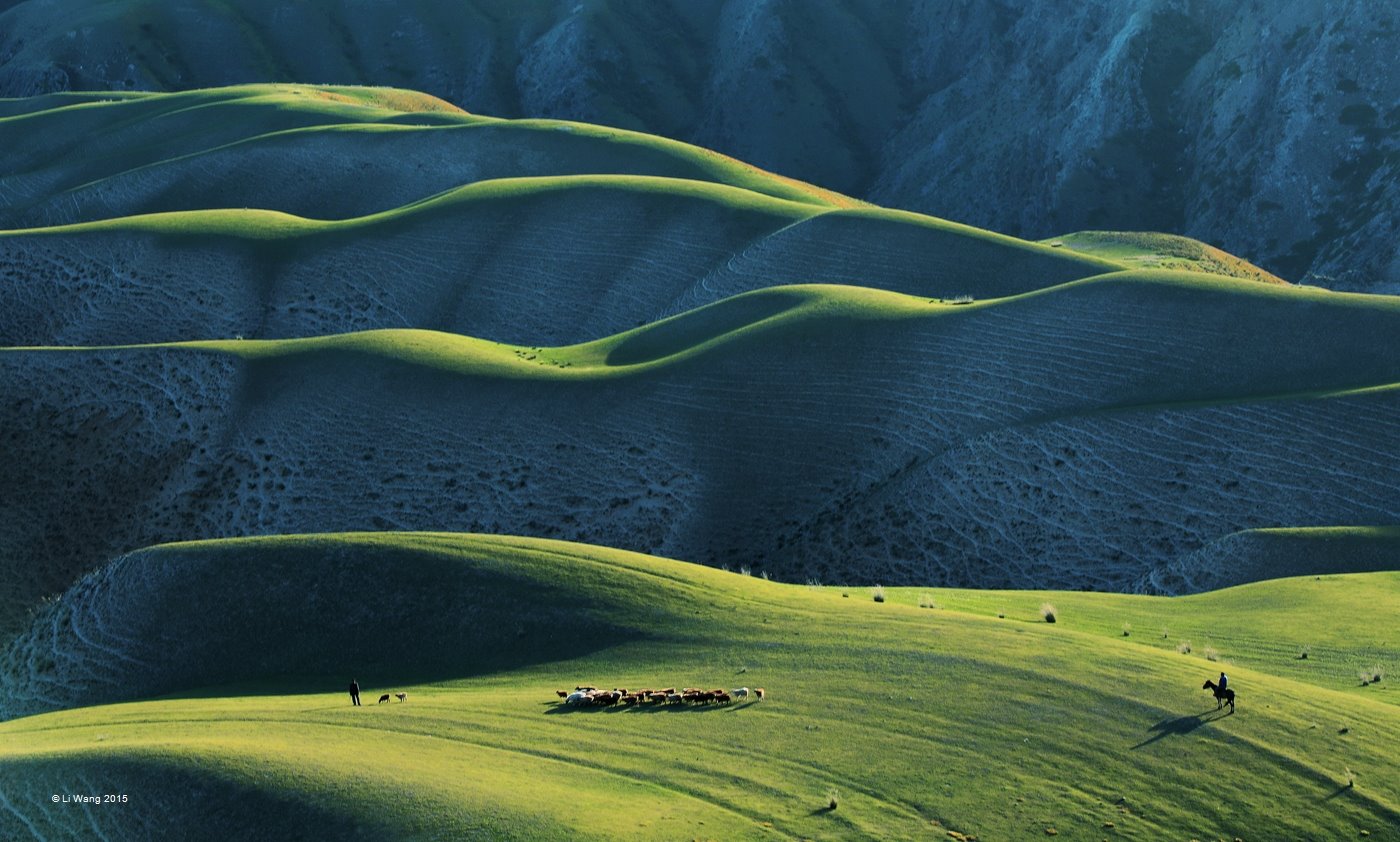 La montagne Woolmark