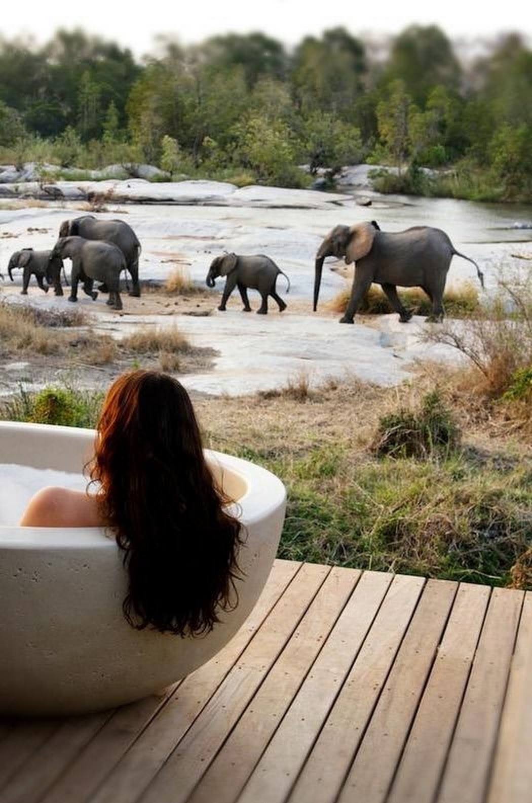L’ivresse du bain