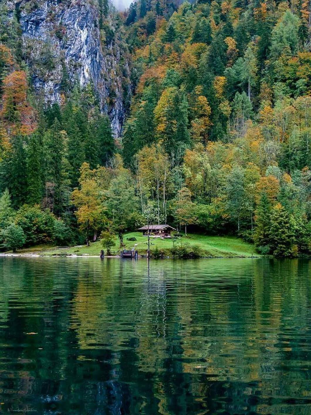 La pêche au vert