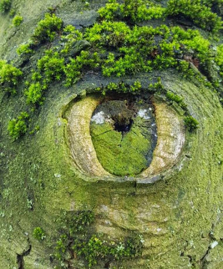 L'œil de la Terre