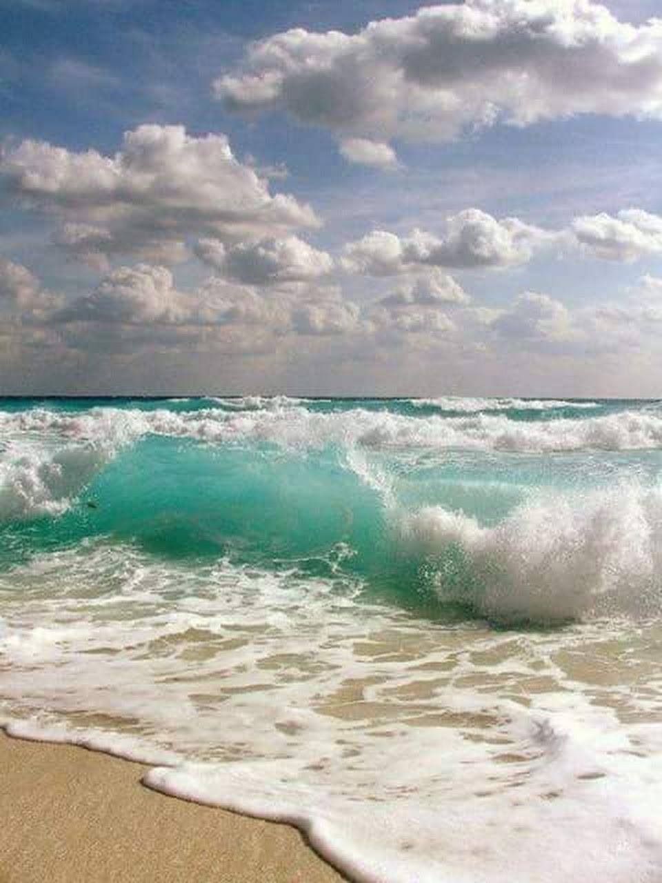 La respiration