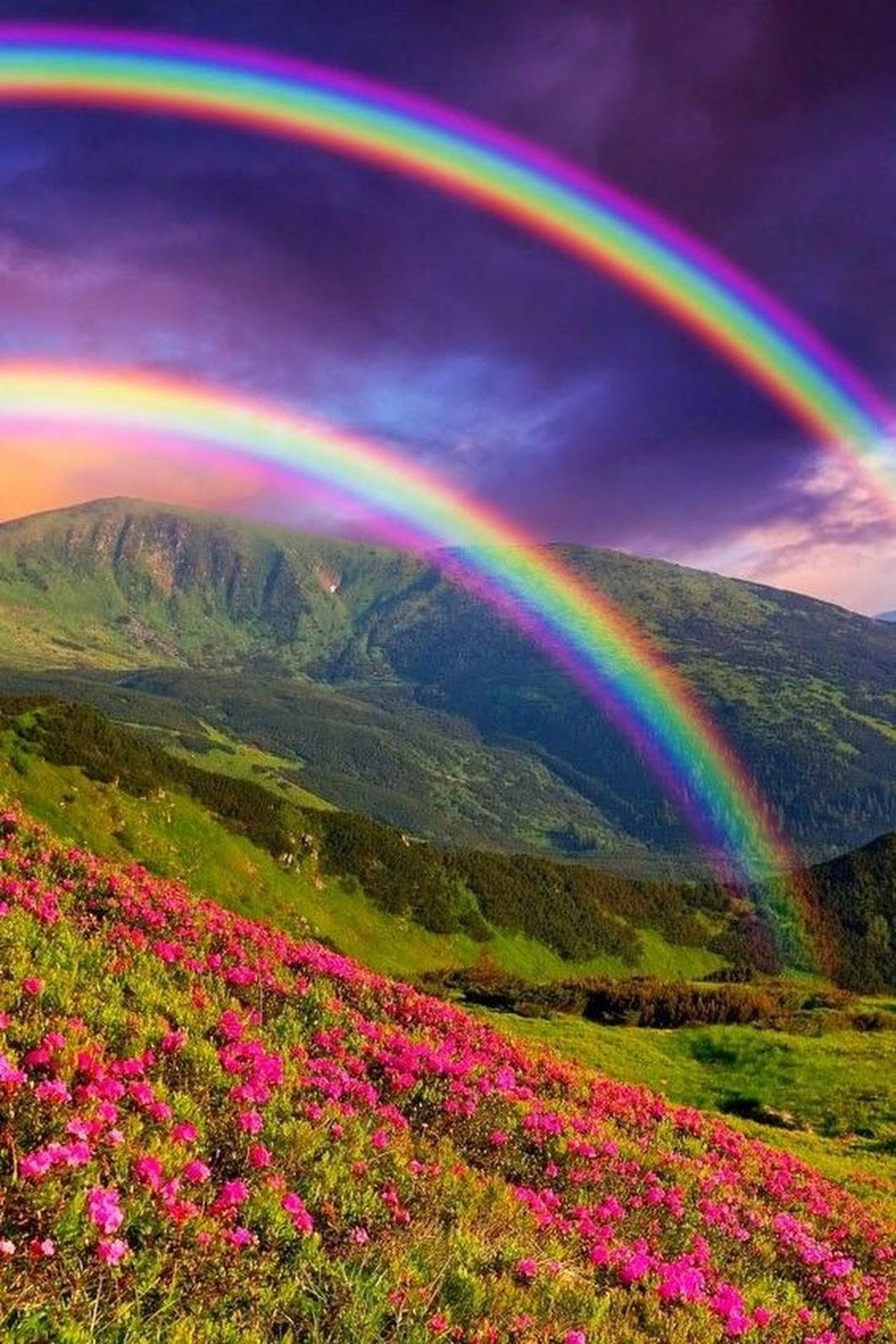Le collier de la nature