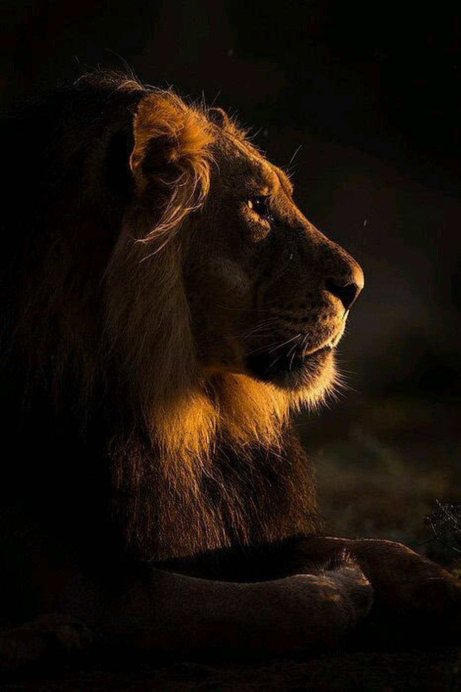 Sainte-Lionne