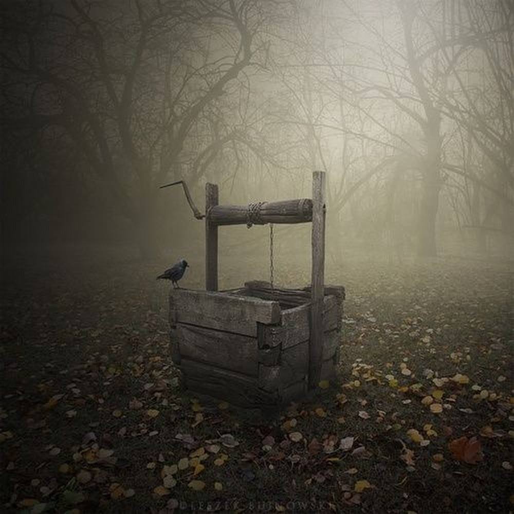 L'âne tombé dans un puits (auteur inconnu