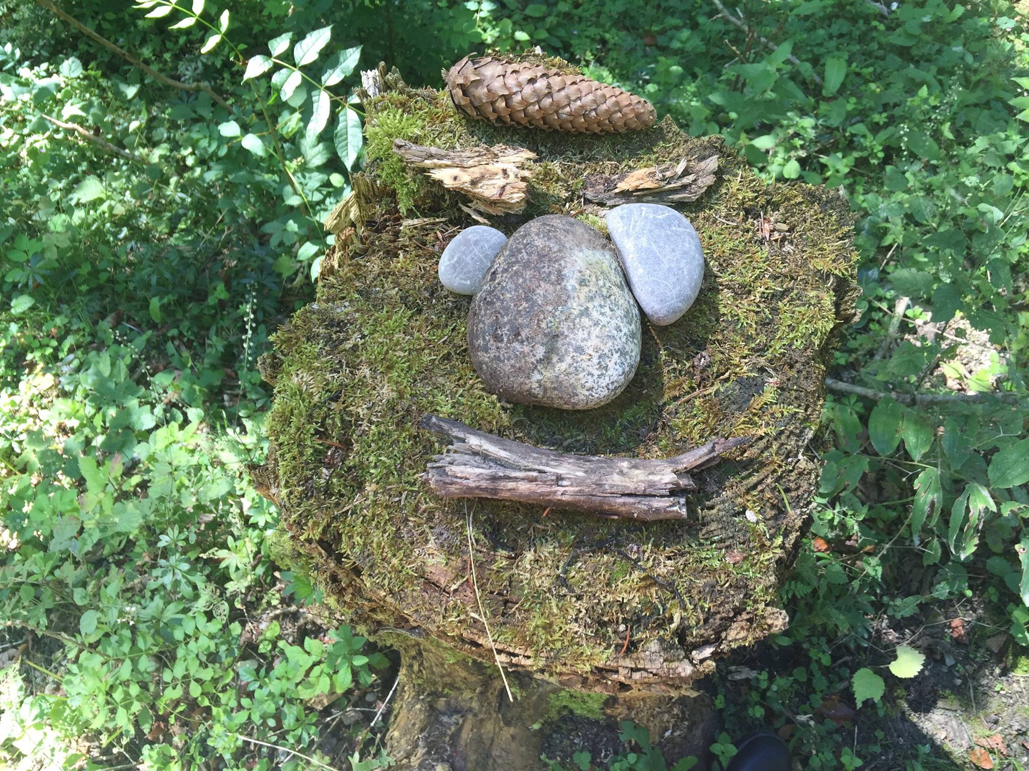Le fou des forêts
