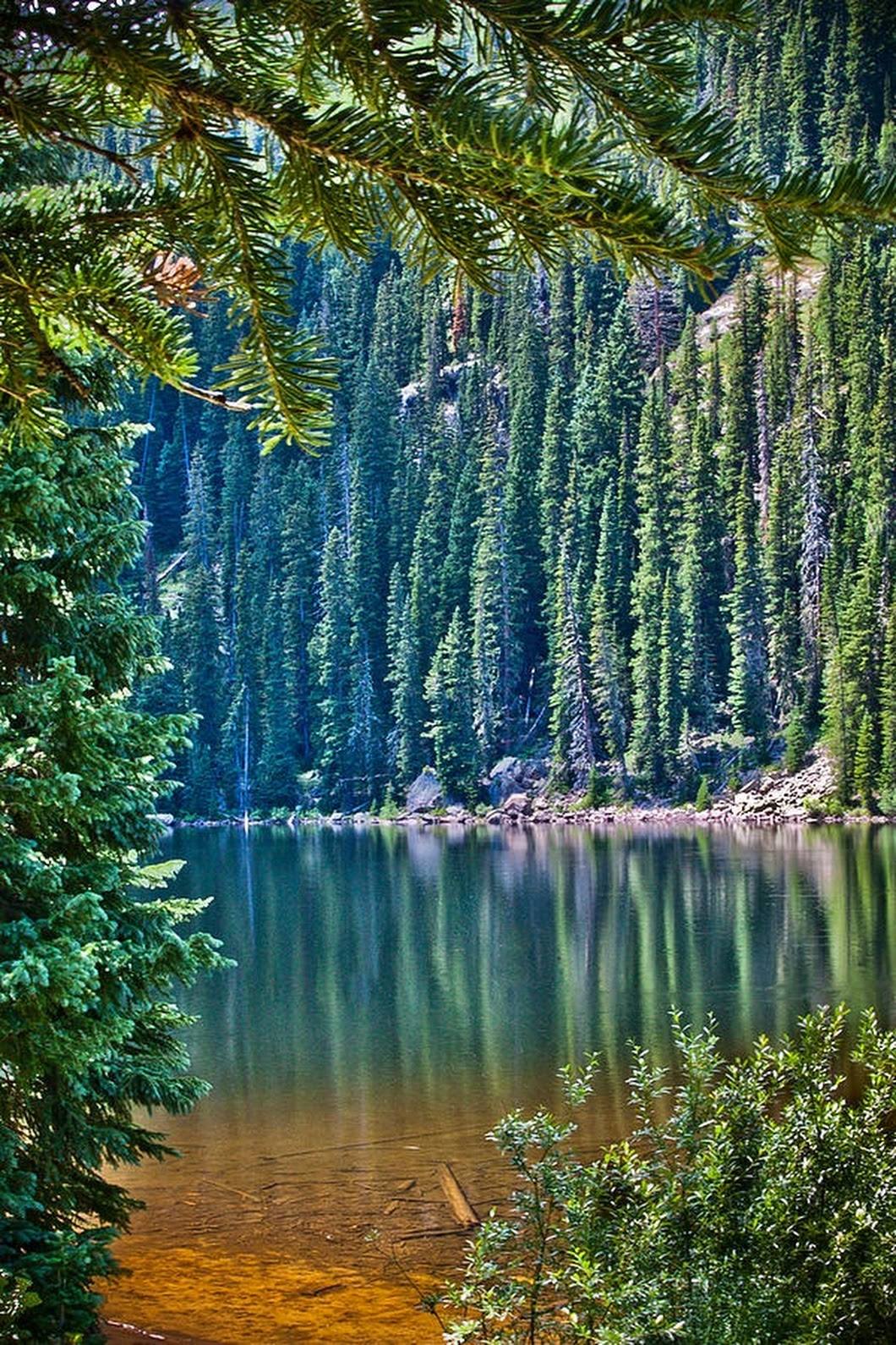 Respirons le vert
