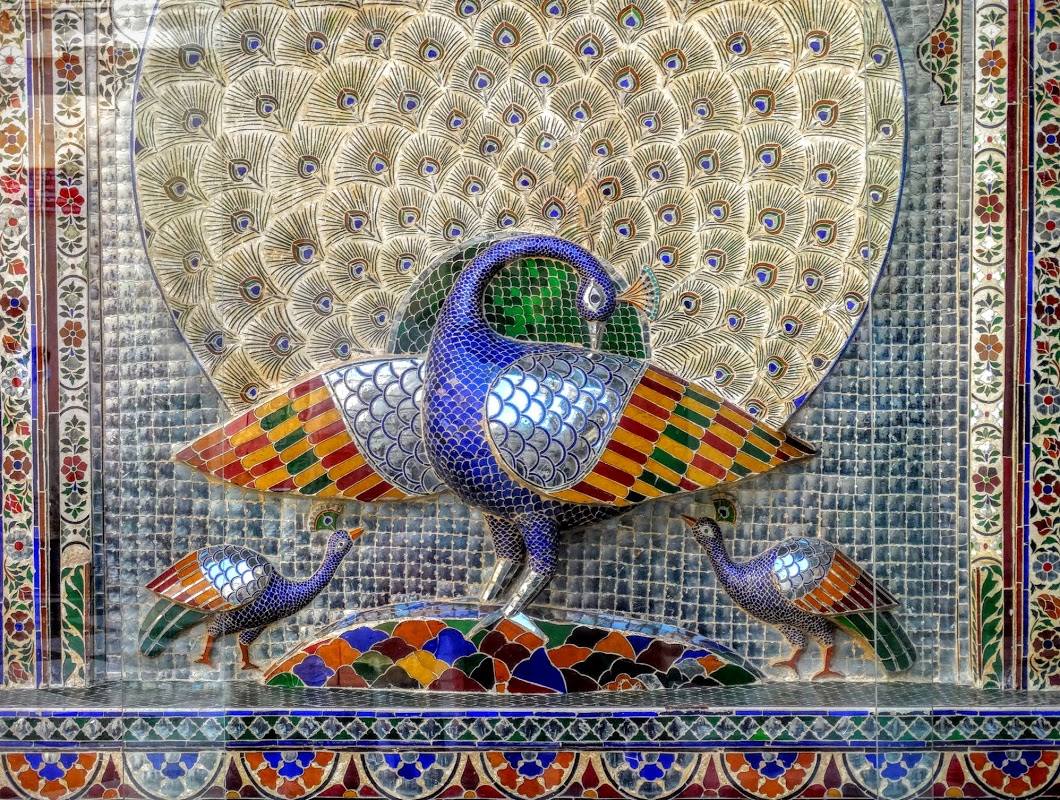 Paon l’oiseau - 1