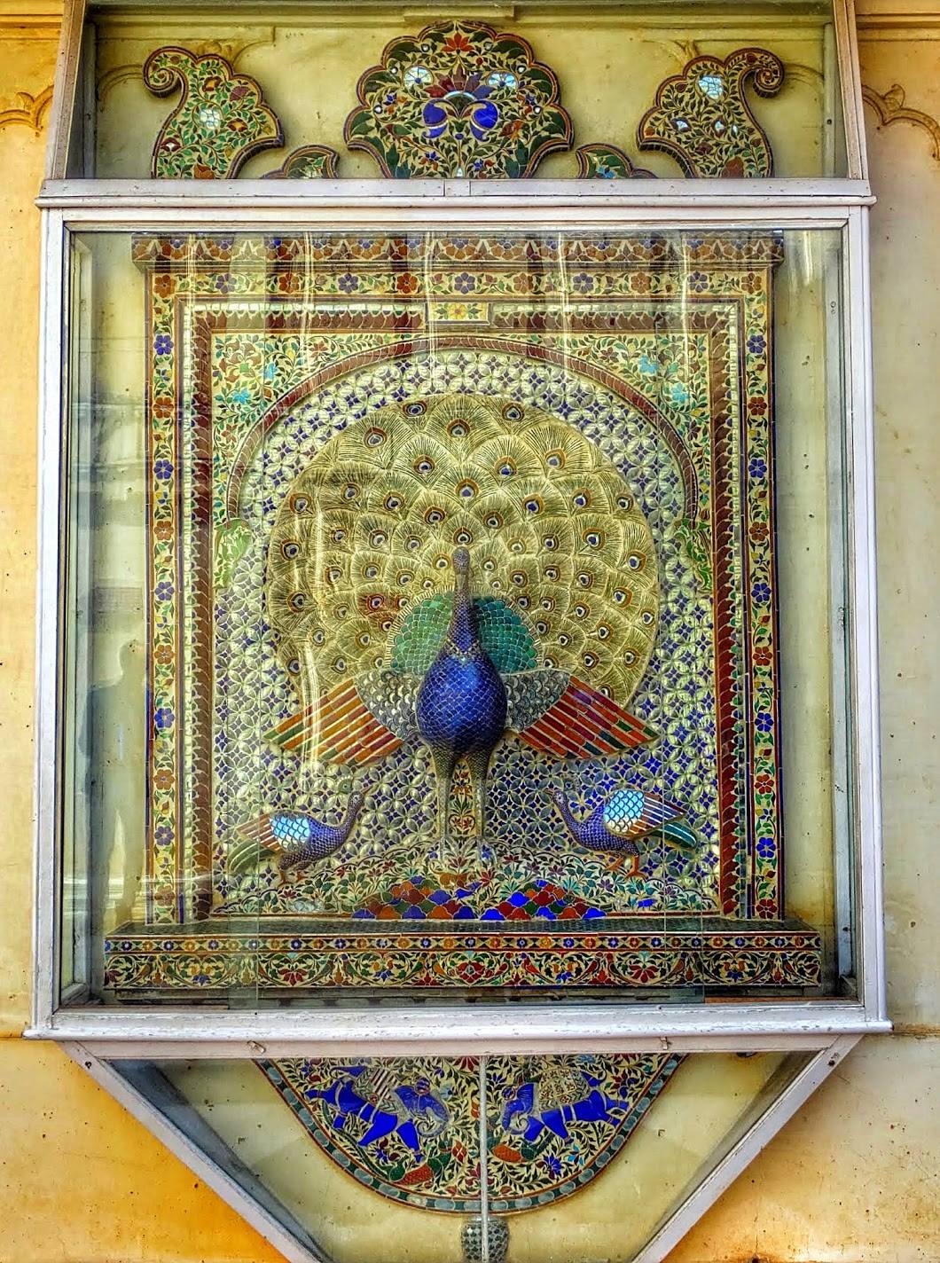 Paon l’oiseau - 2