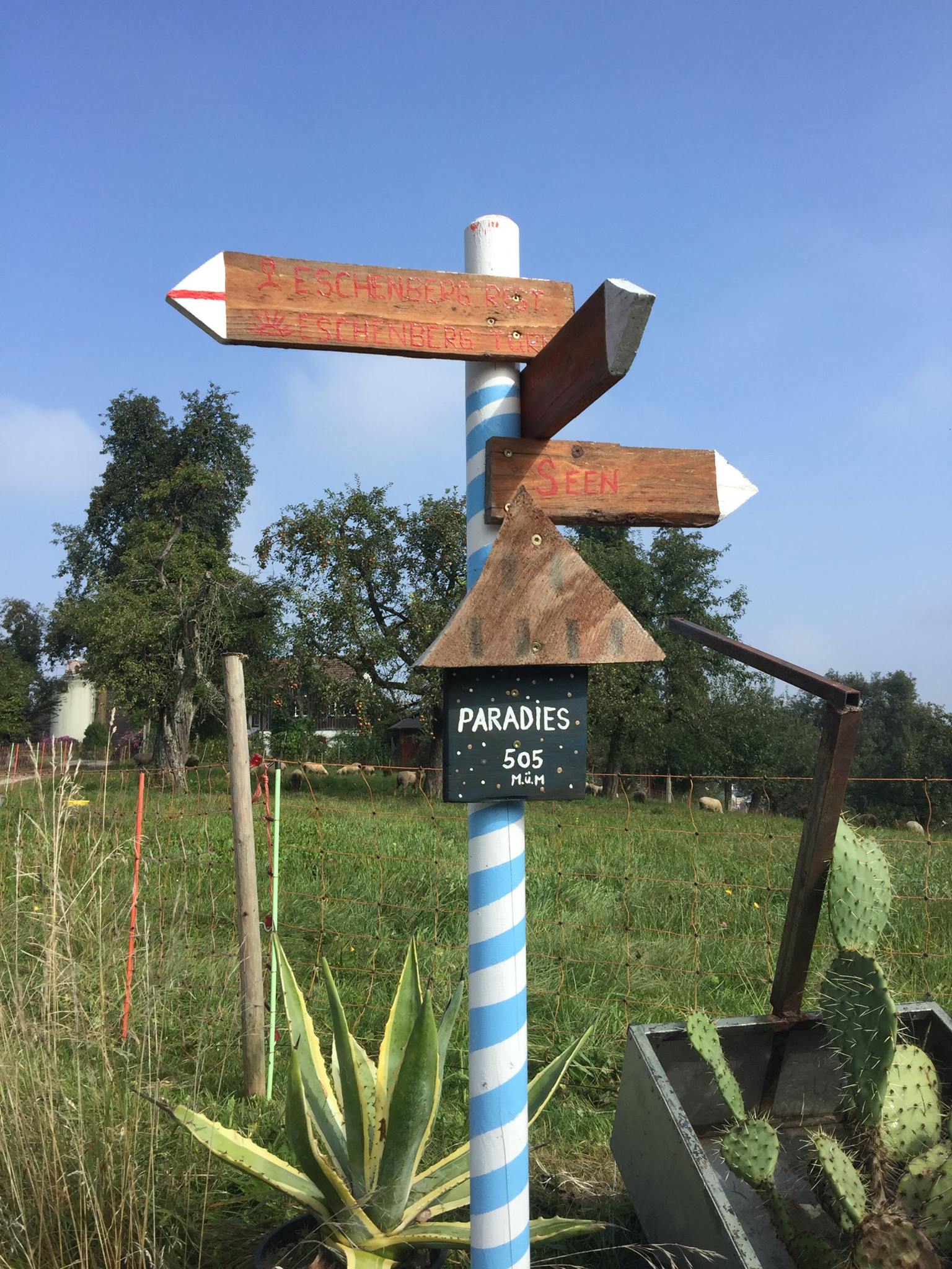 L’anniversaire au Paradis
