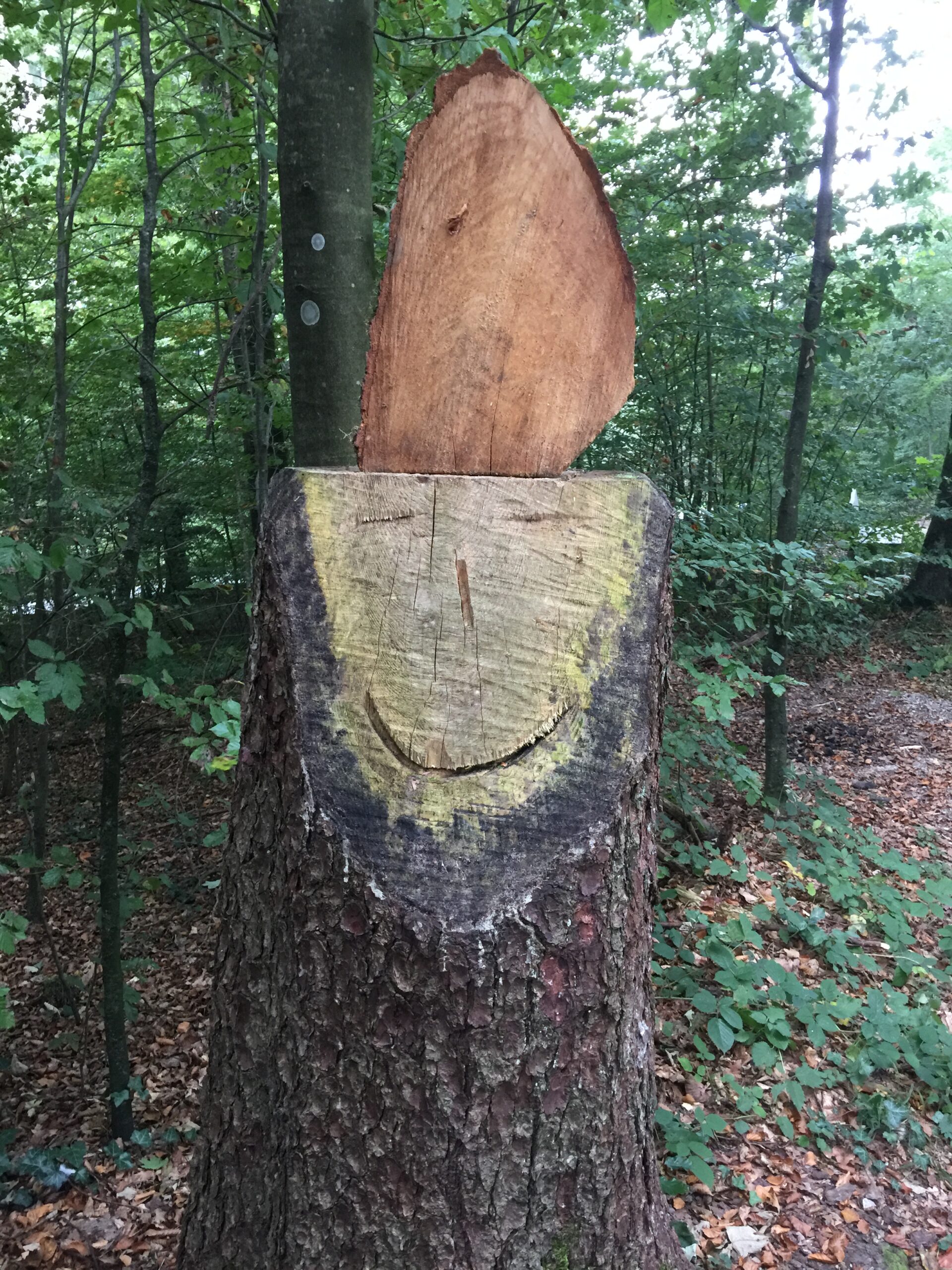 La souche sincère