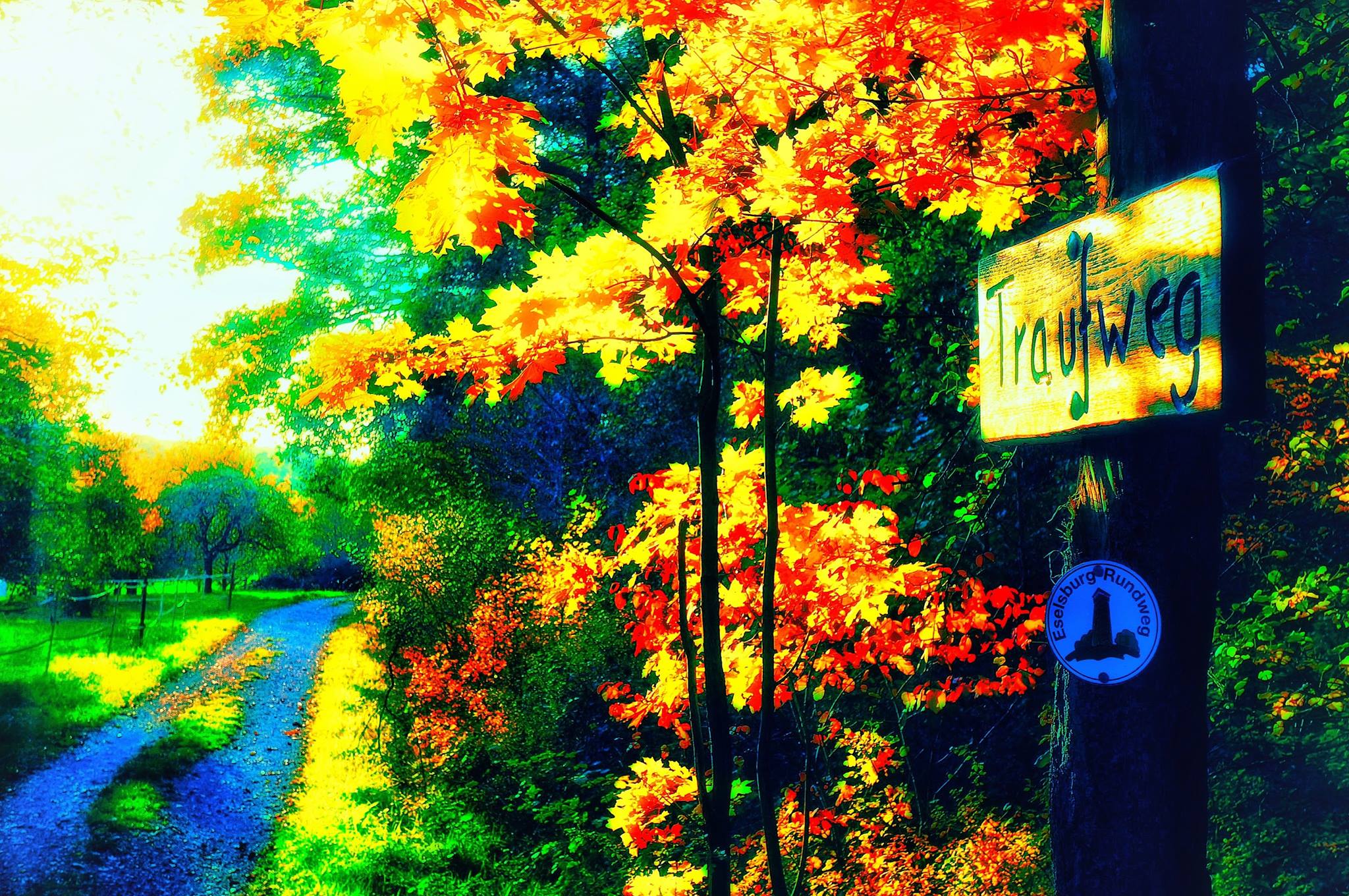 Les chemins d’automne