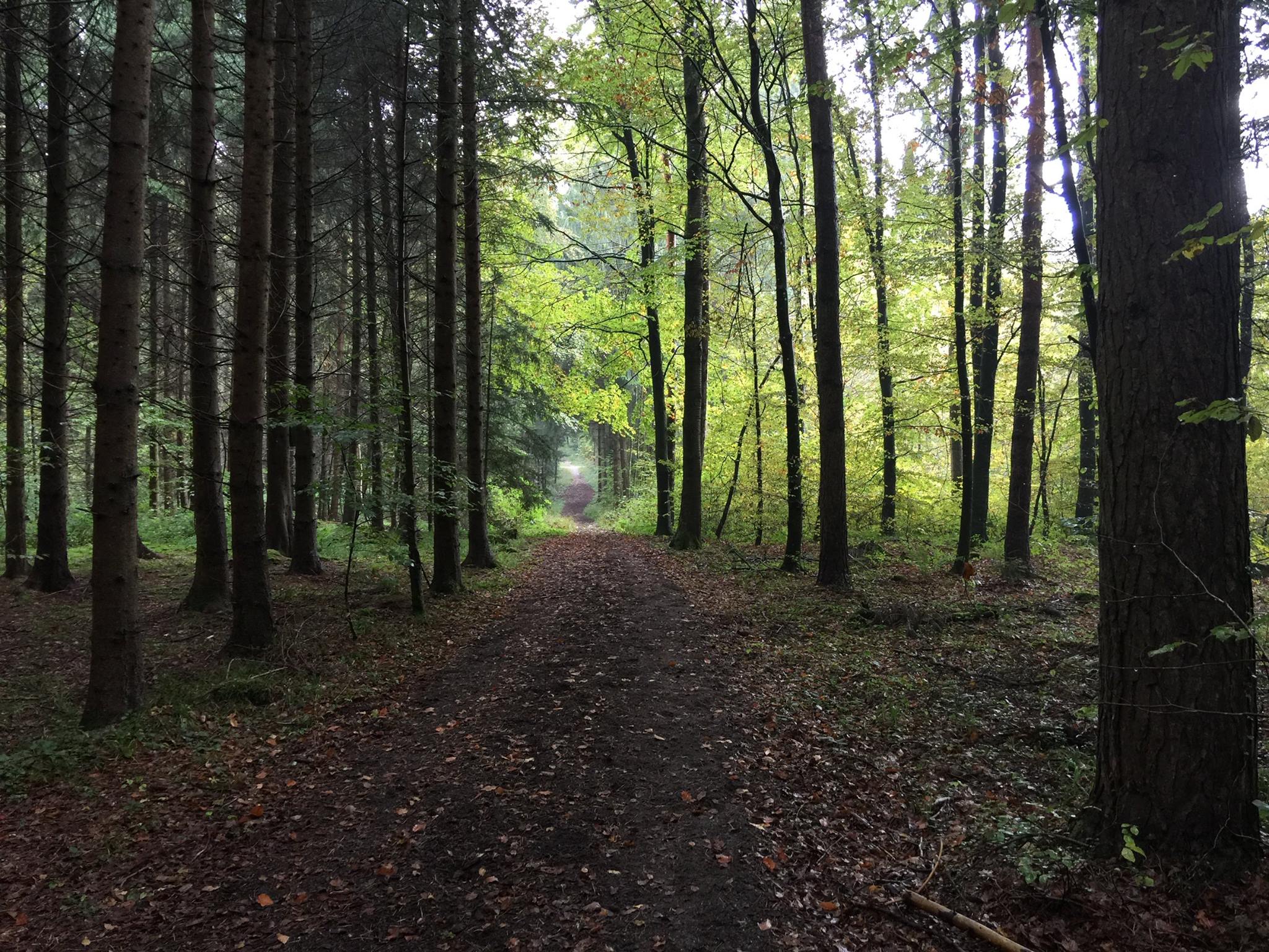 Le sentier qui n’allait nulle-part