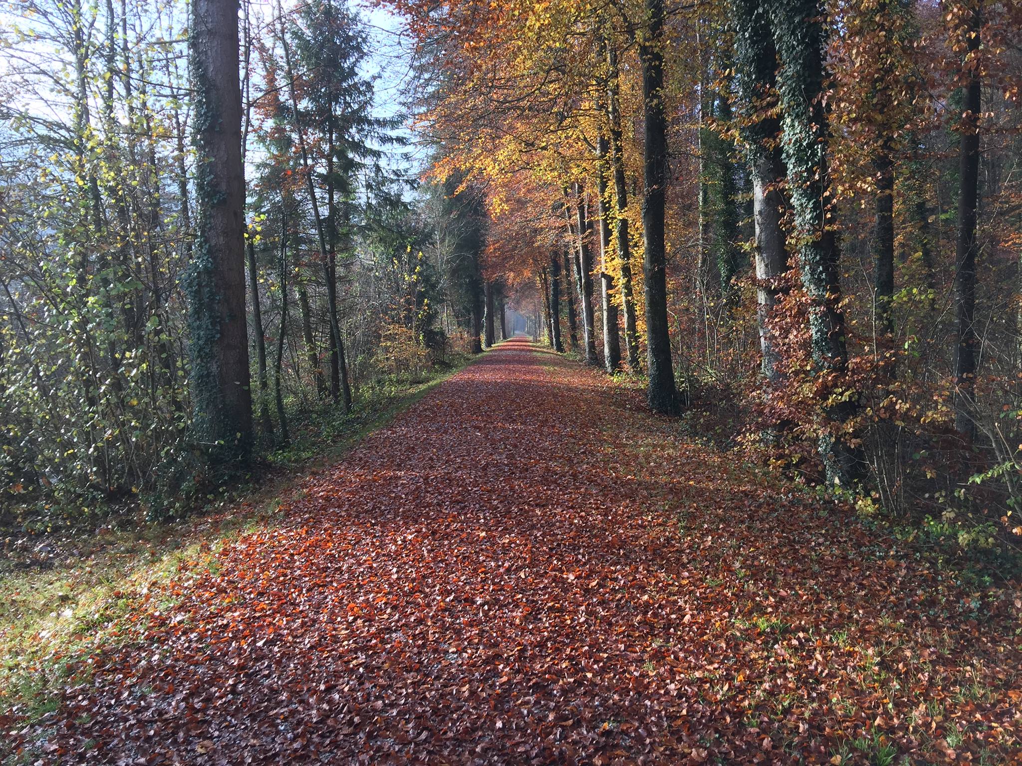 Toujours un chemin qui me rappelle