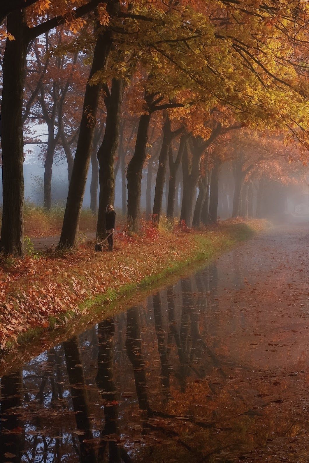Le miroir d’automne