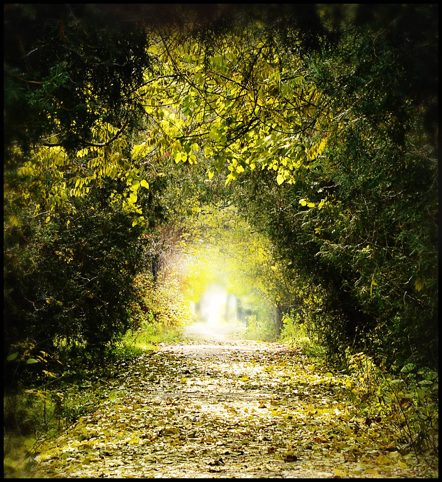 La lumière au bout du chemin