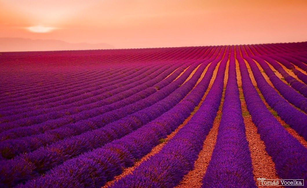 Automne en Provence