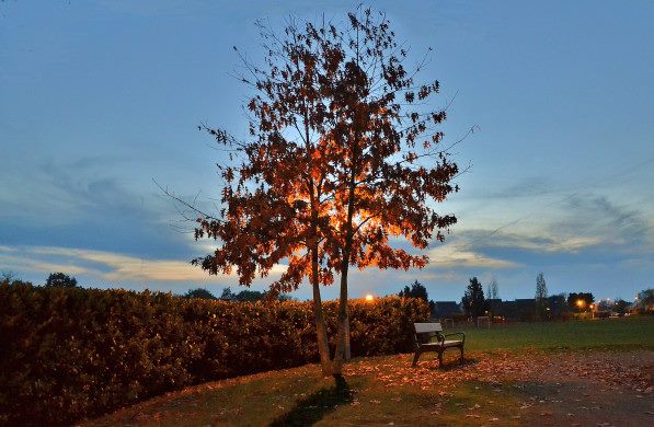 Jeux d’automne