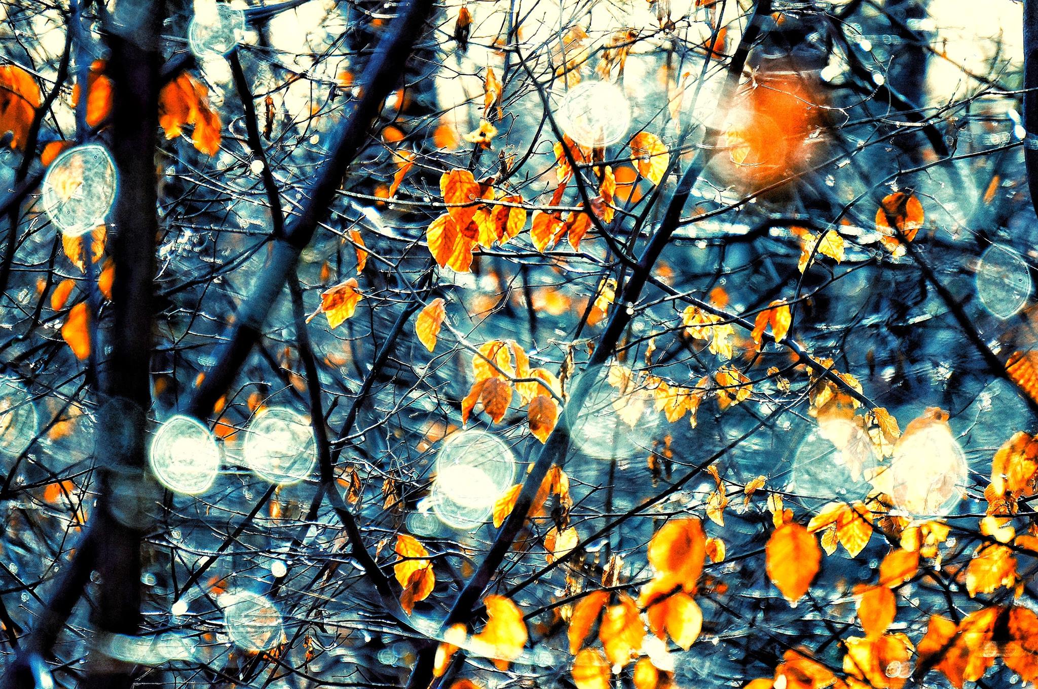 Tableau d’automne