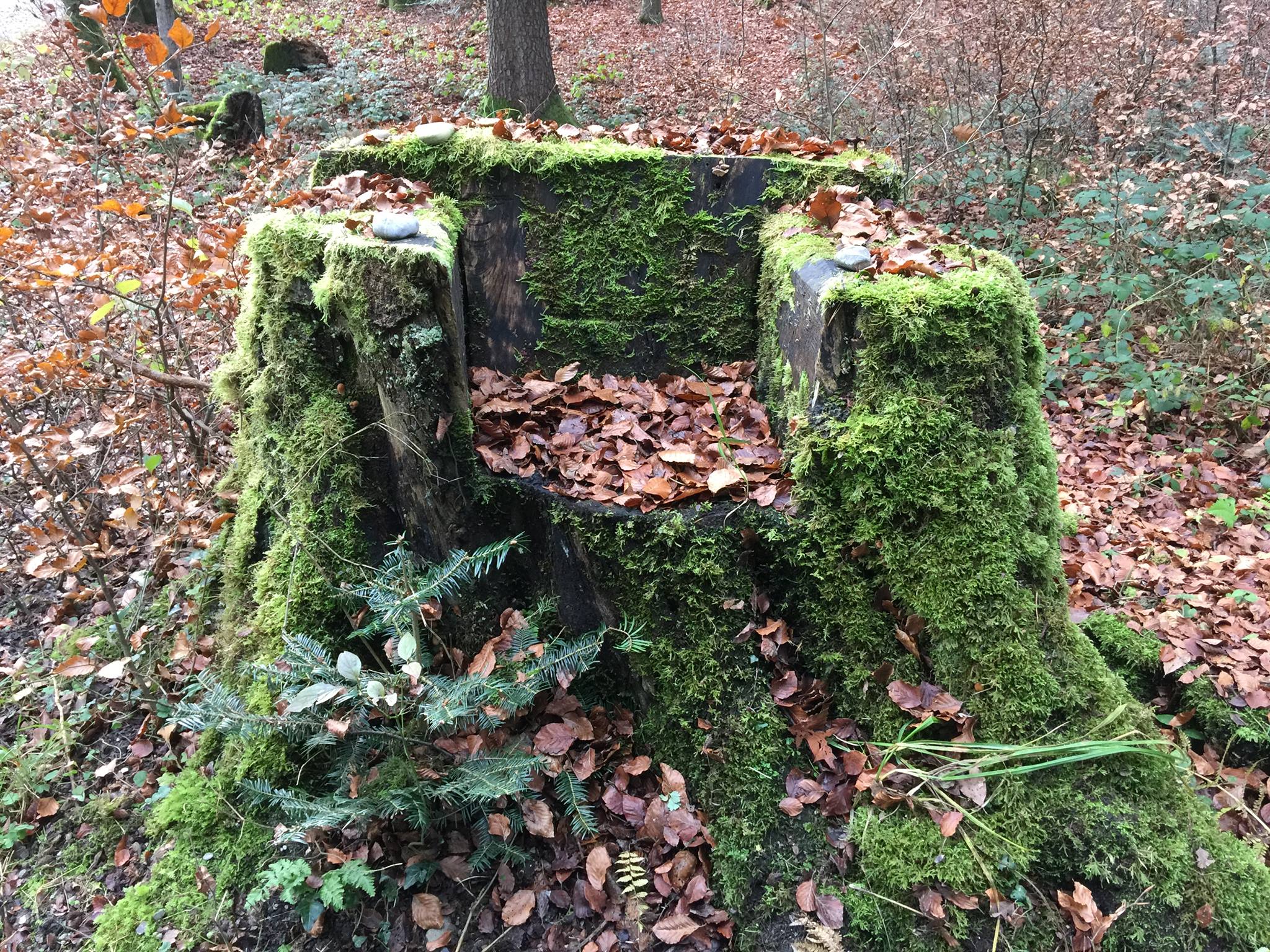Le trône du Sagittaire