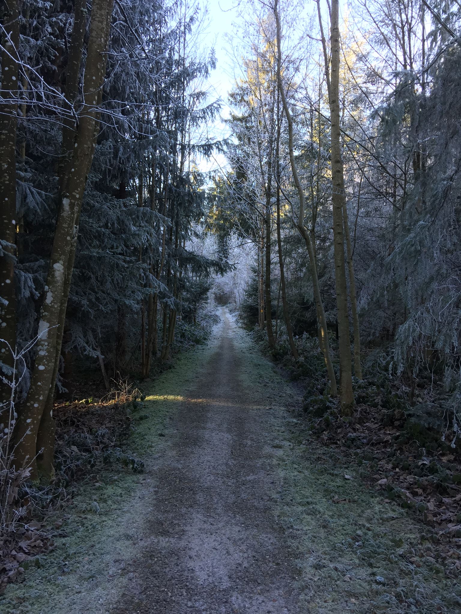 Le chemin de l’hiver