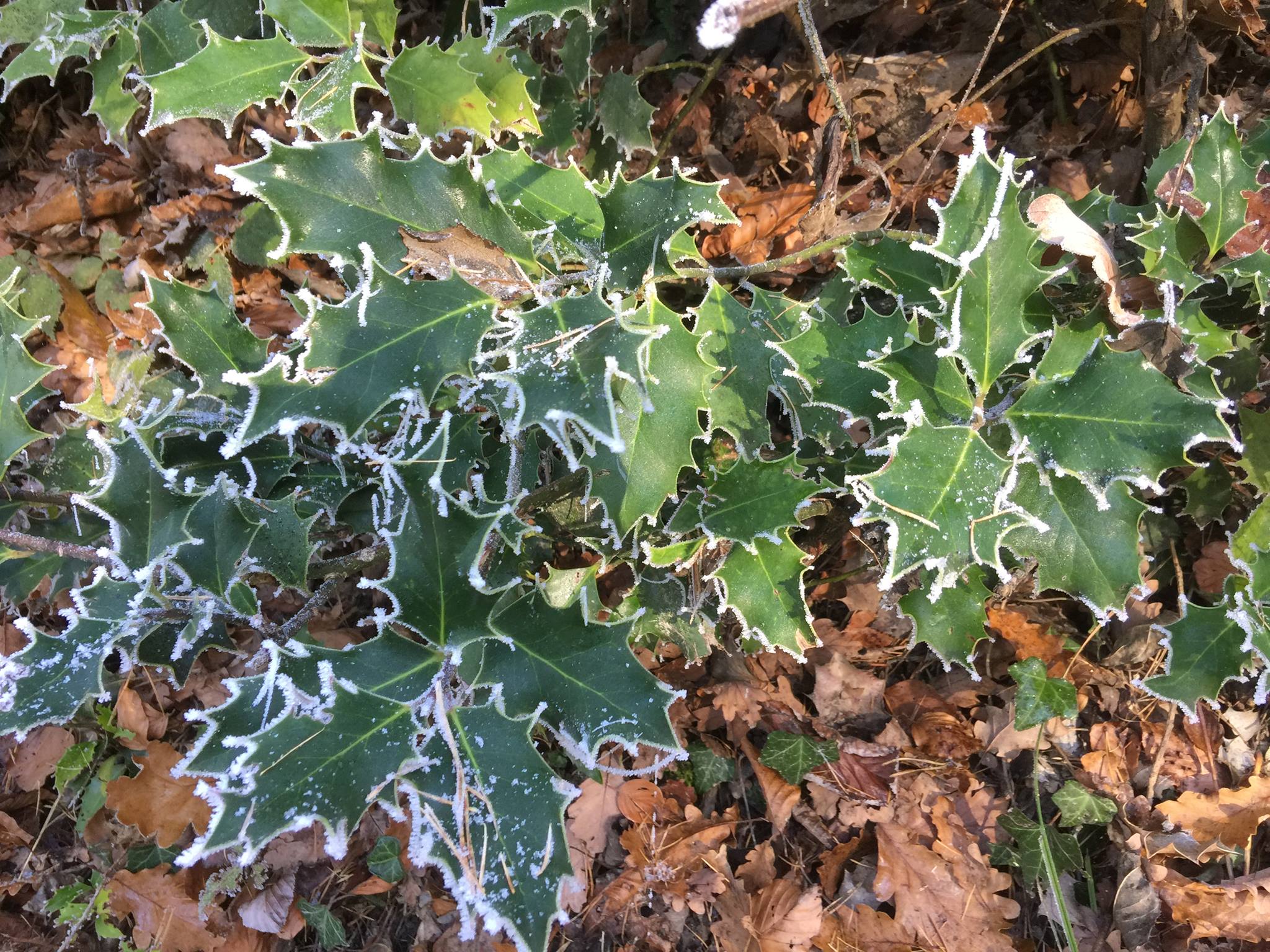 À l’approche de l’hiver