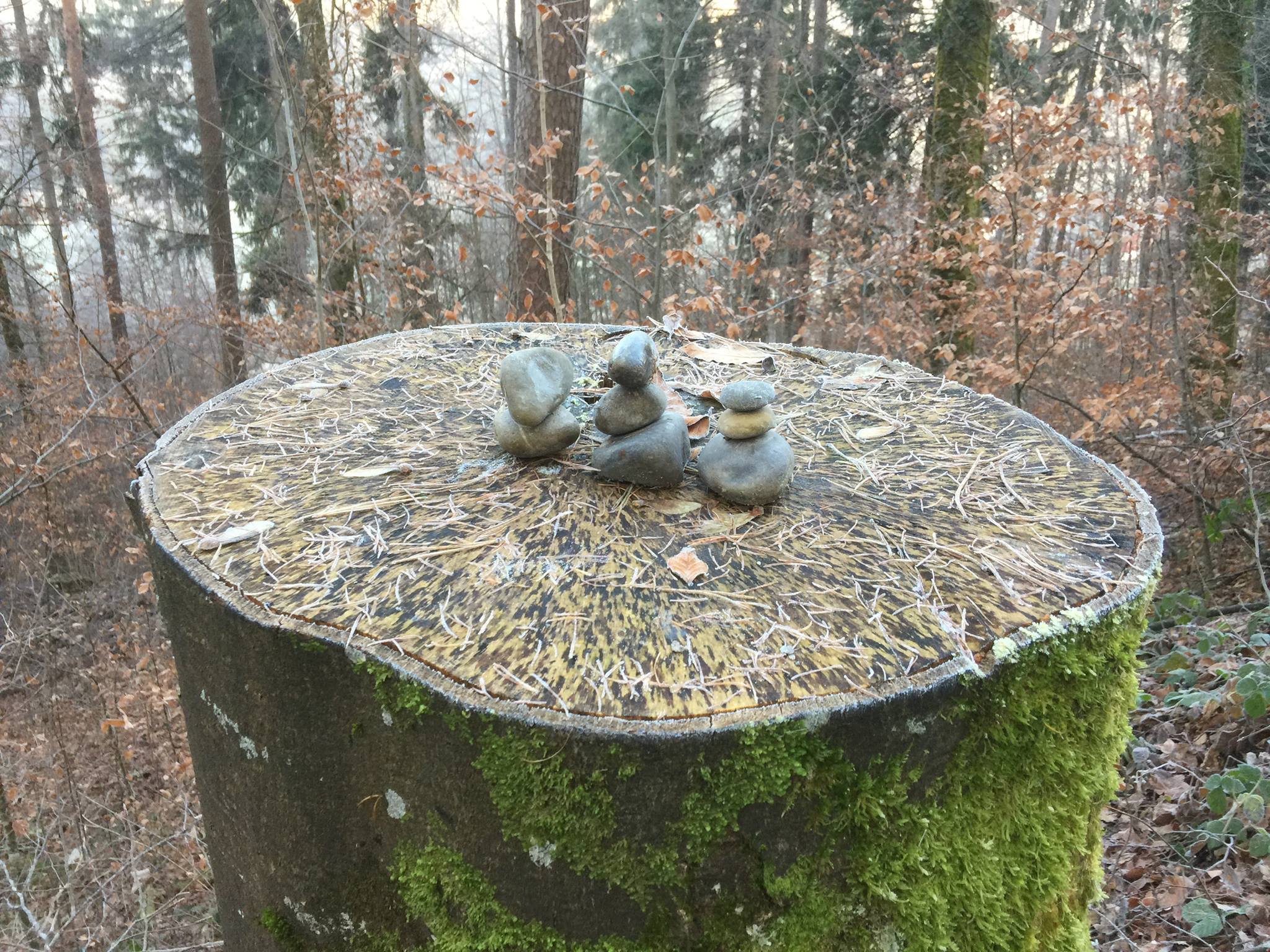 La famille Pietra