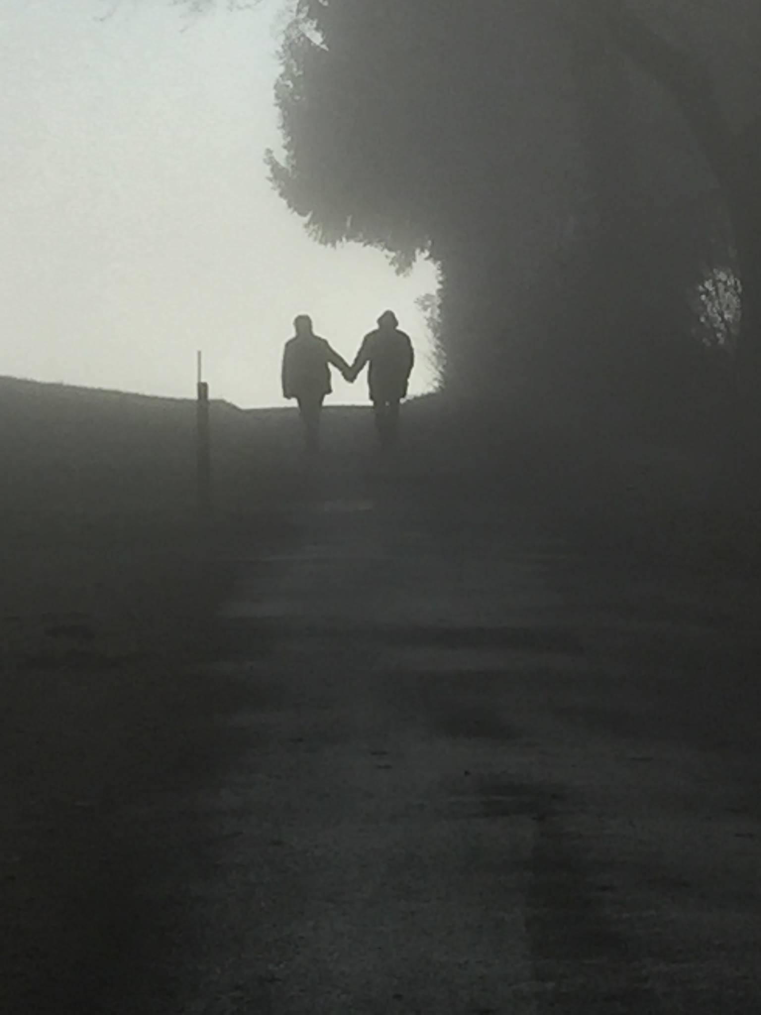 Les amoureux de la brume