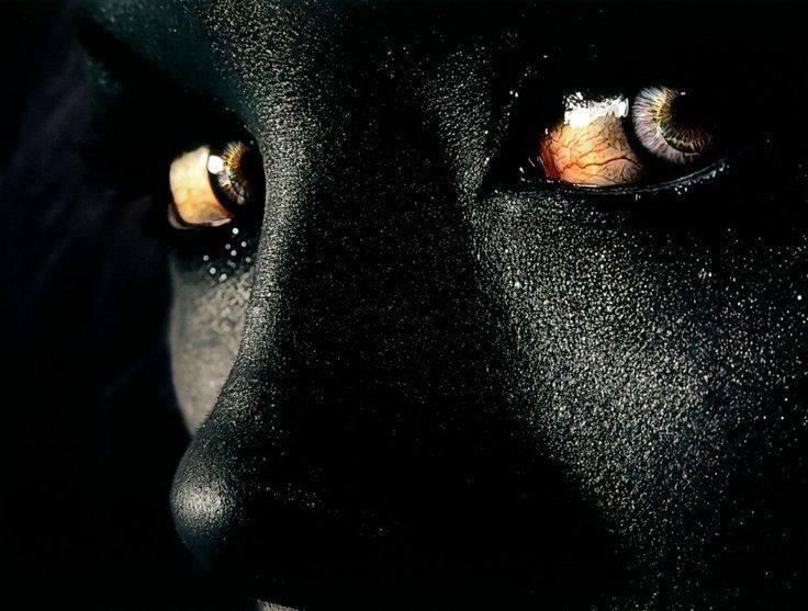 Les yeux des étoiles