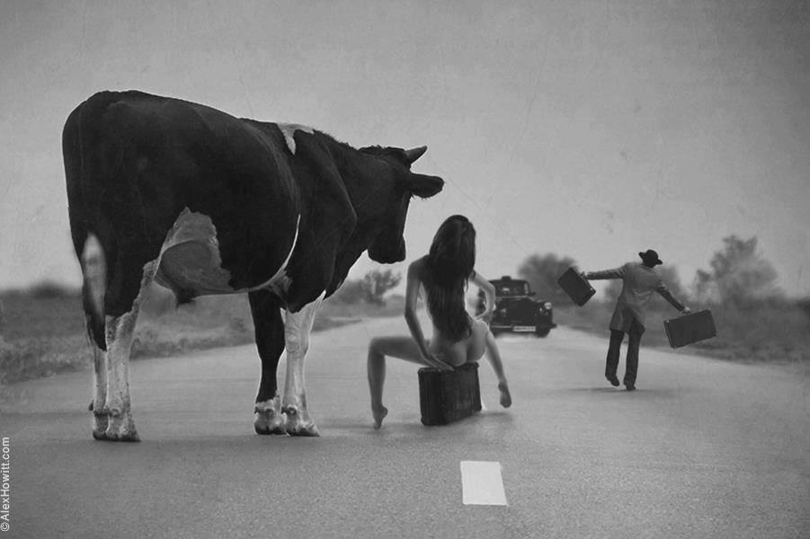 Ma femme nue, ma vache et moi (nu