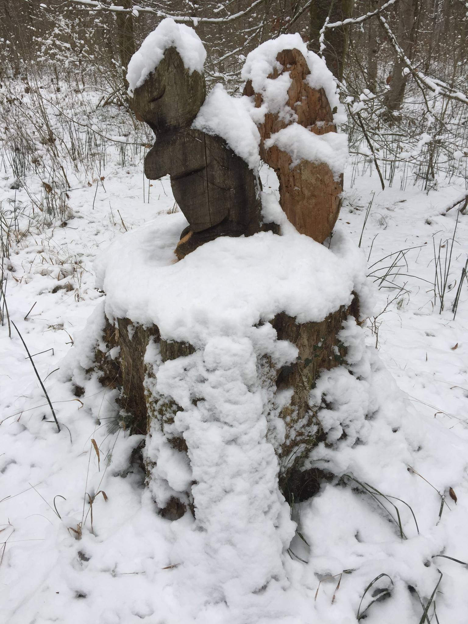 Casse-noisette sous la neige