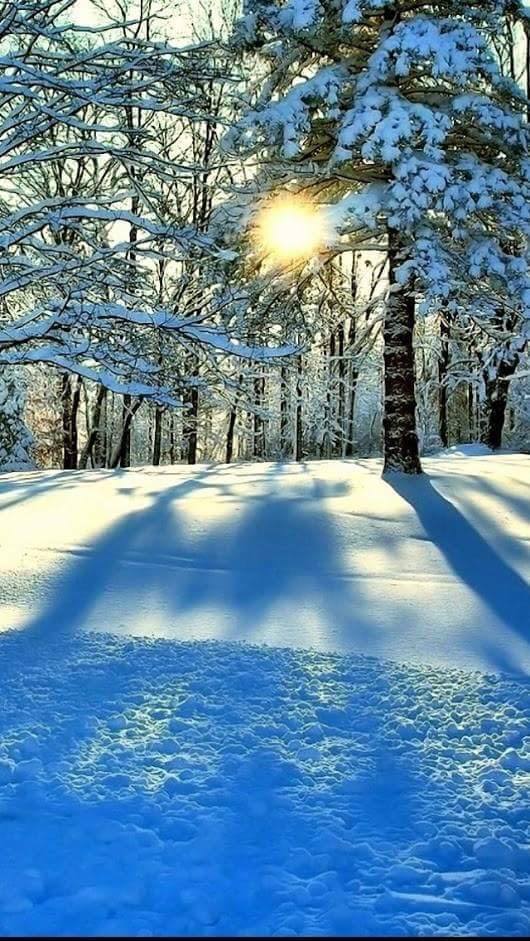 Mariage d’hiver