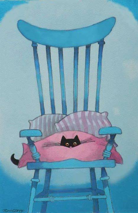Où est le chat ? - 9