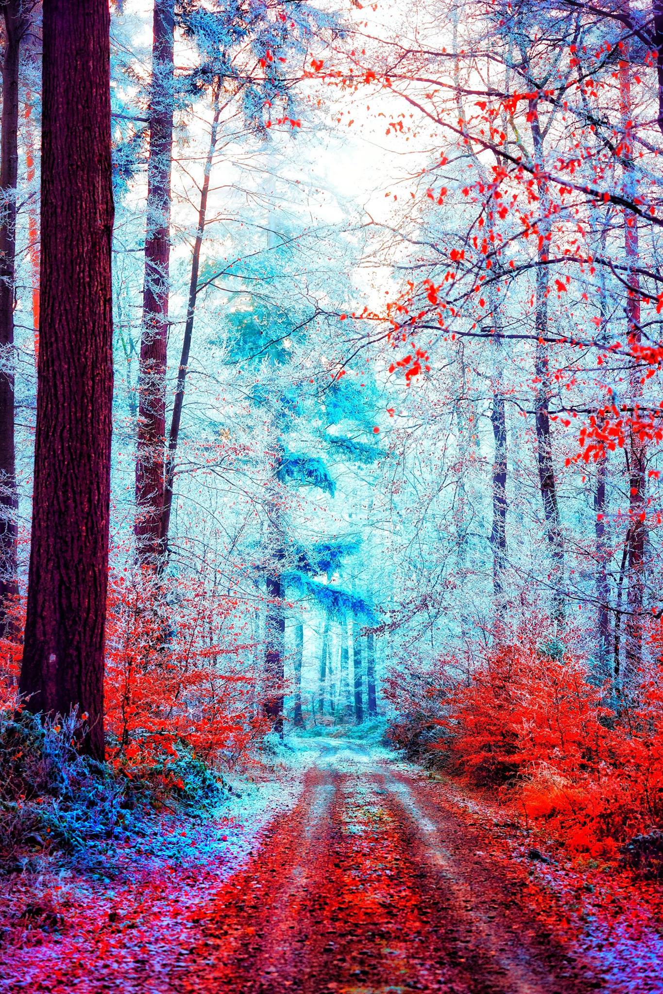 La valse de l’hiver